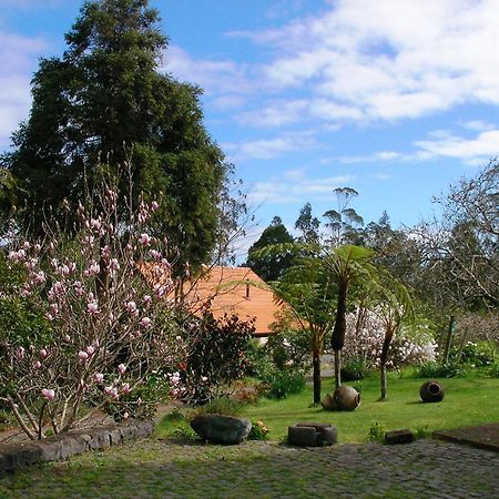 Bio Quinta Do Pantano, Agro Turismo Villa Santo Antonio da Serra Екстериор снимка