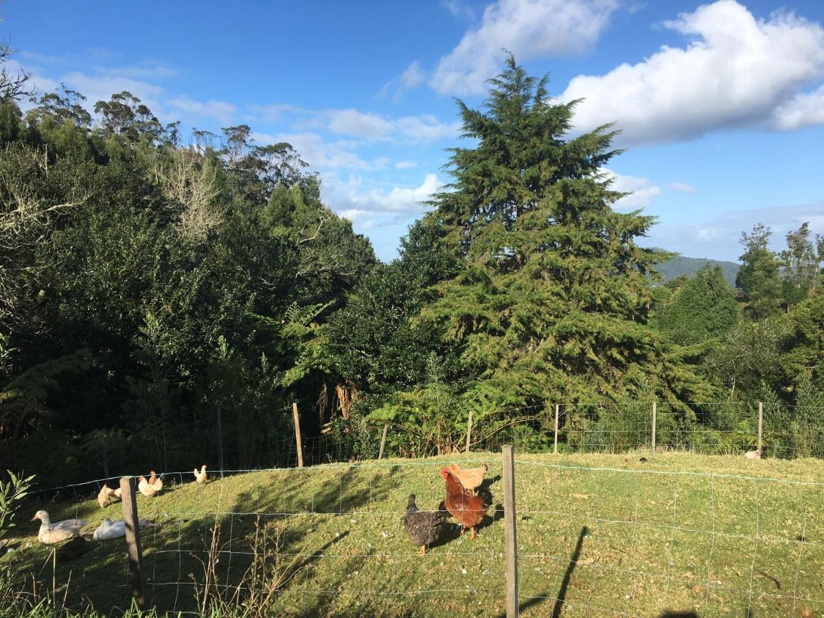 Bio Quinta Do Pantano, Agro Turismo Villa Santo Antonio da Serra Екстериор снимка