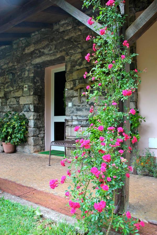 Bio Quinta Do Pantano, Agro Turismo Villa Santo Antonio da Serra Екстериор снимка