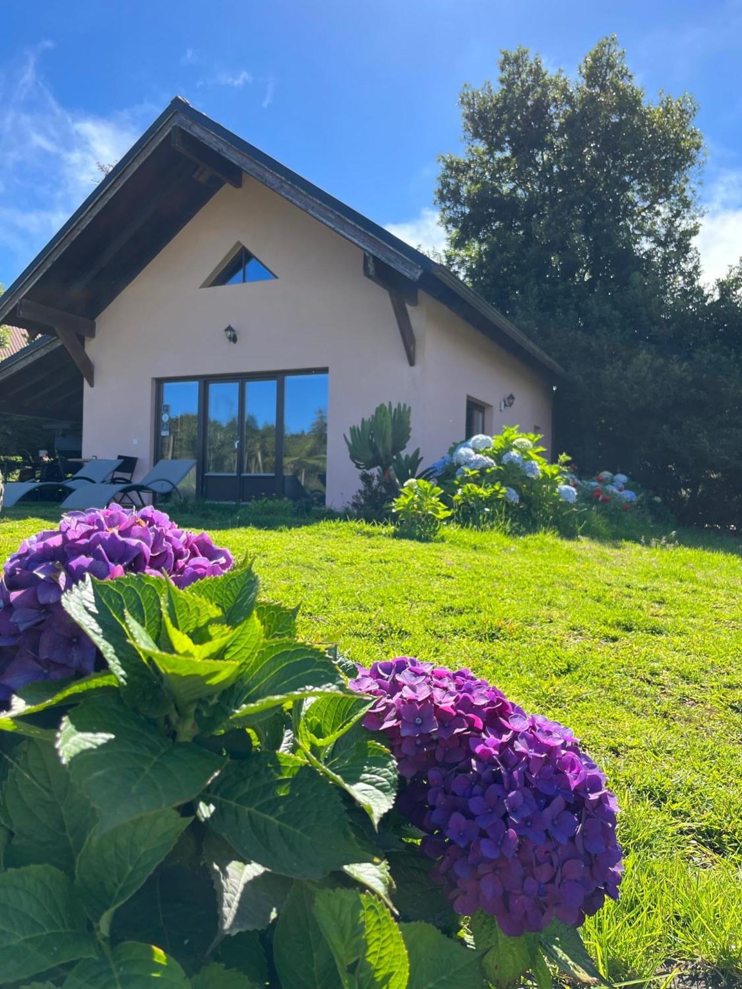 Bio Quinta Do Pantano, Agro Turismo Villa Santo Antonio da Serra Екстериор снимка