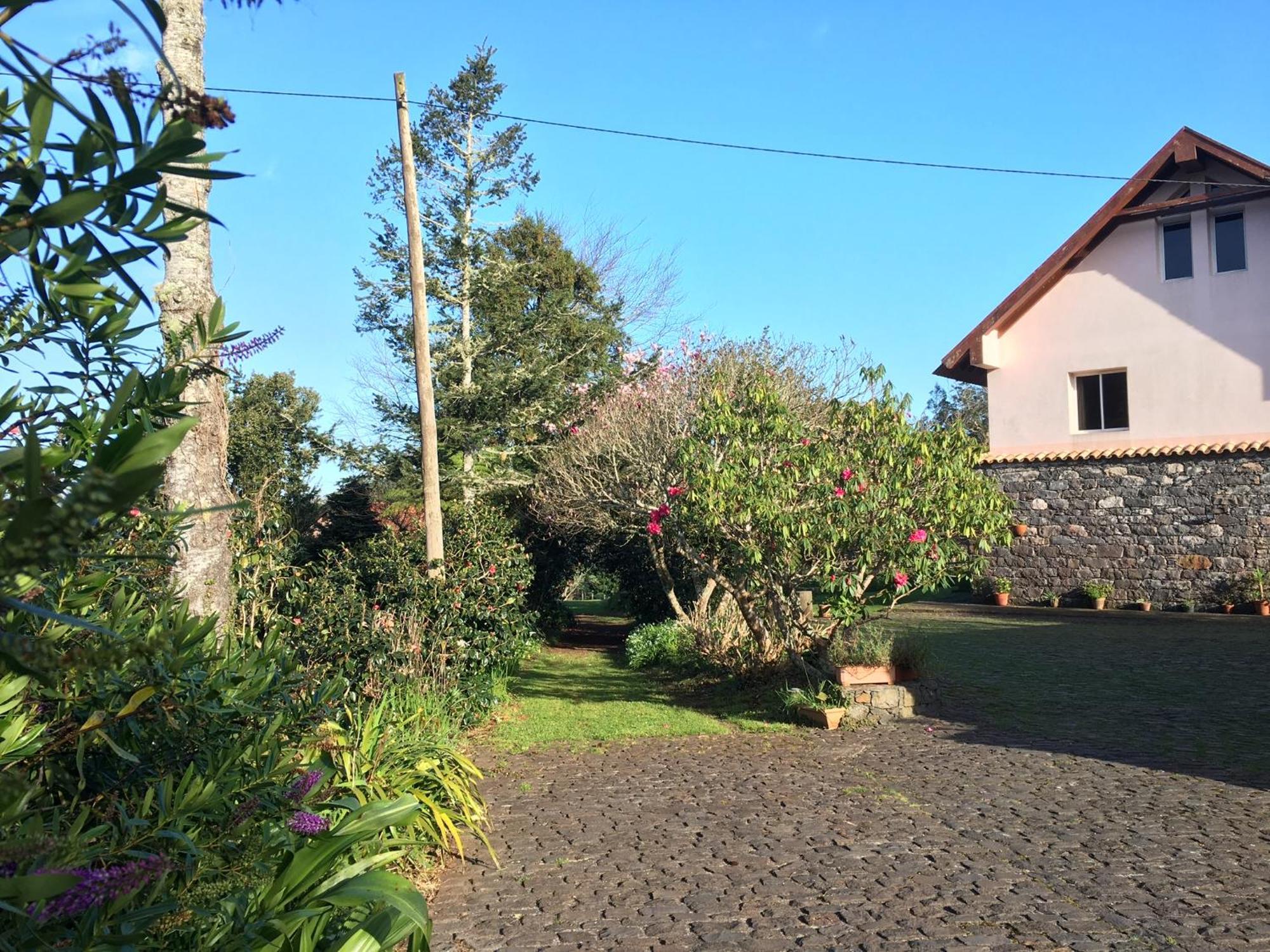 Bio Quinta Do Pantano, Agro Turismo Villa Santo Antonio da Serra Екстериор снимка