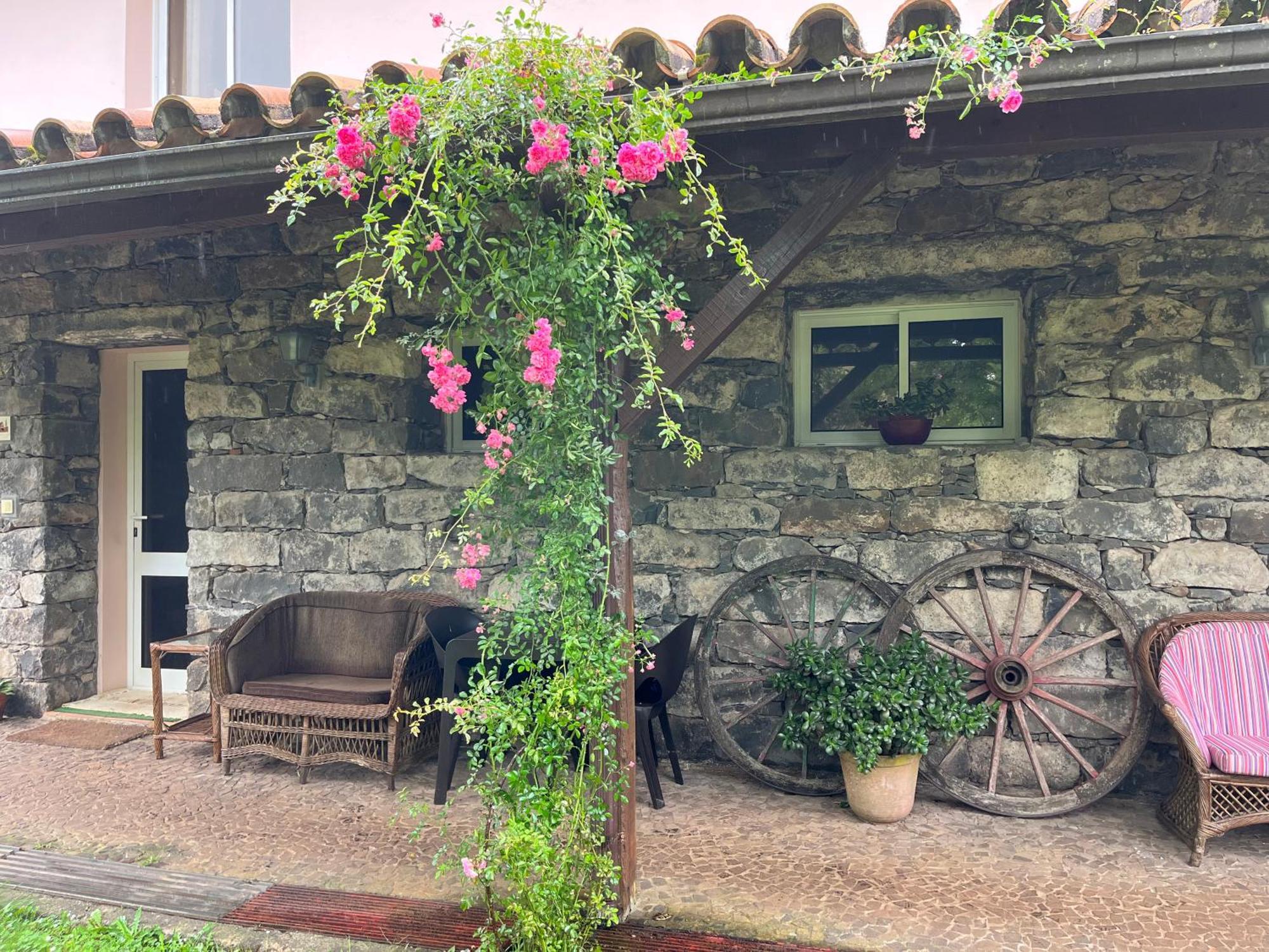 Bio Quinta Do Pantano, Agro Turismo Villa Santo Antonio da Serra Екстериор снимка