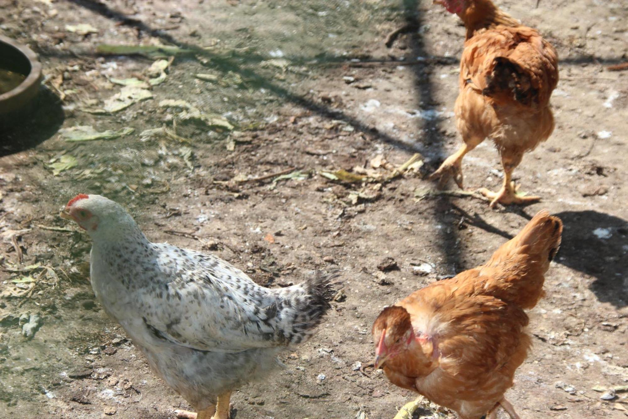 Bio Quinta Do Pantano, Agro Turismo Villa Santo Antonio da Serra Екстериор снимка