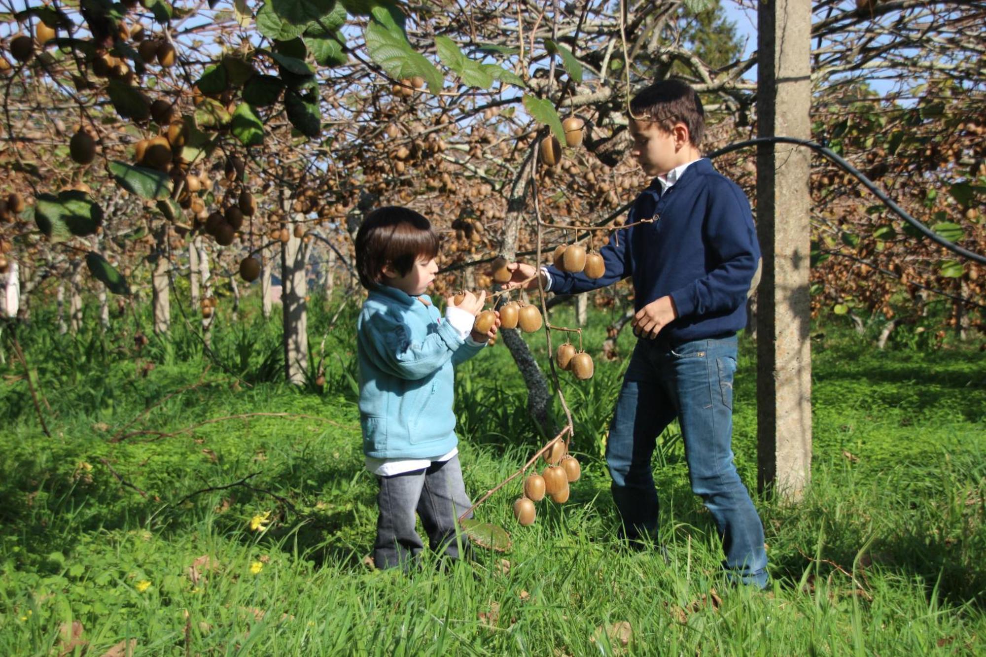 Bio Quinta Do Pantano, Agro Turismo Villa Santo Antonio da Serra Екстериор снимка