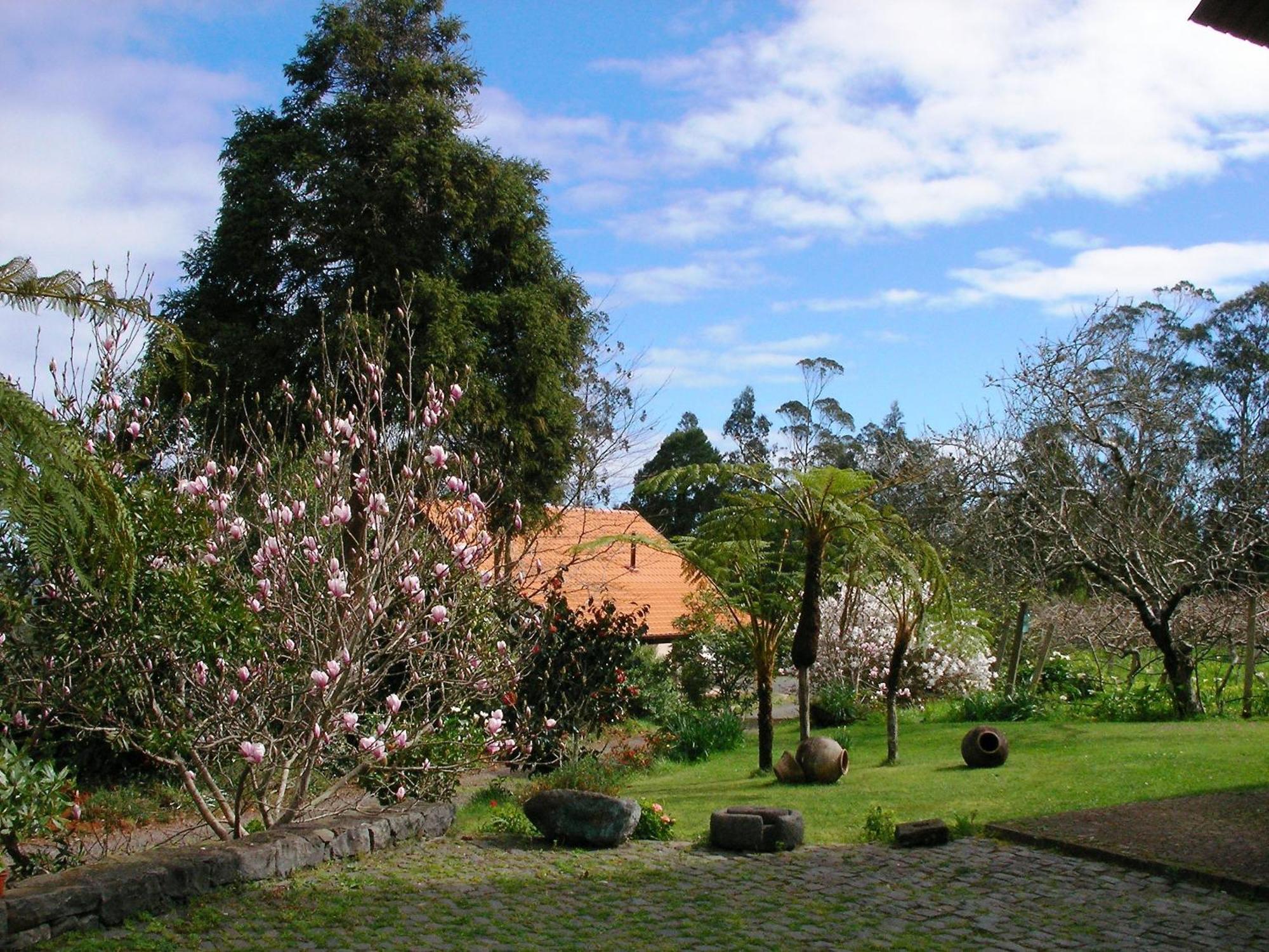 Bio Quinta Do Pantano, Agro Turismo Villa Santo Antonio da Serra Екстериор снимка