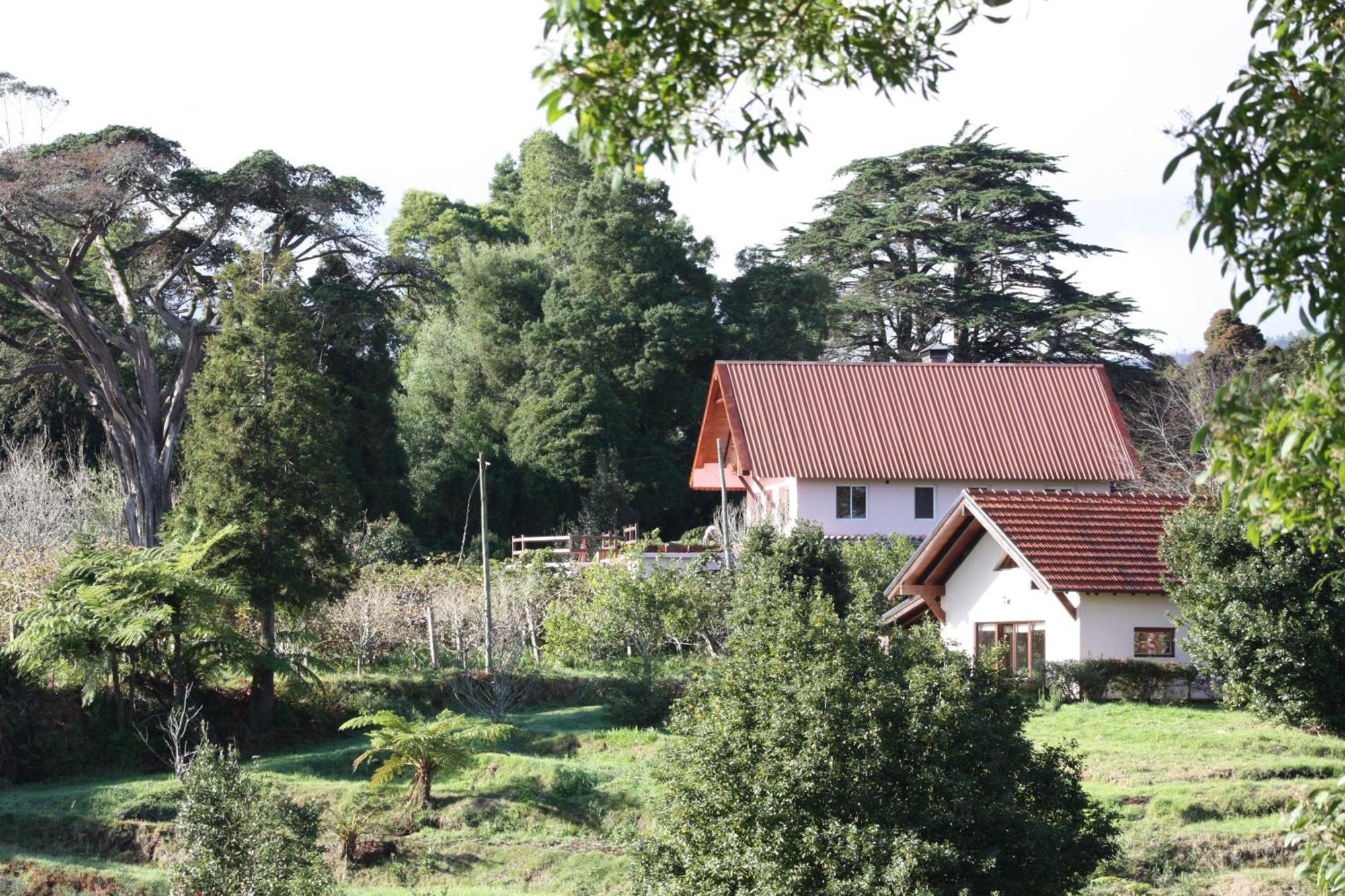 Bio Quinta Do Pantano, Agro Turismo Villa Santo Antonio da Serra Екстериор снимка