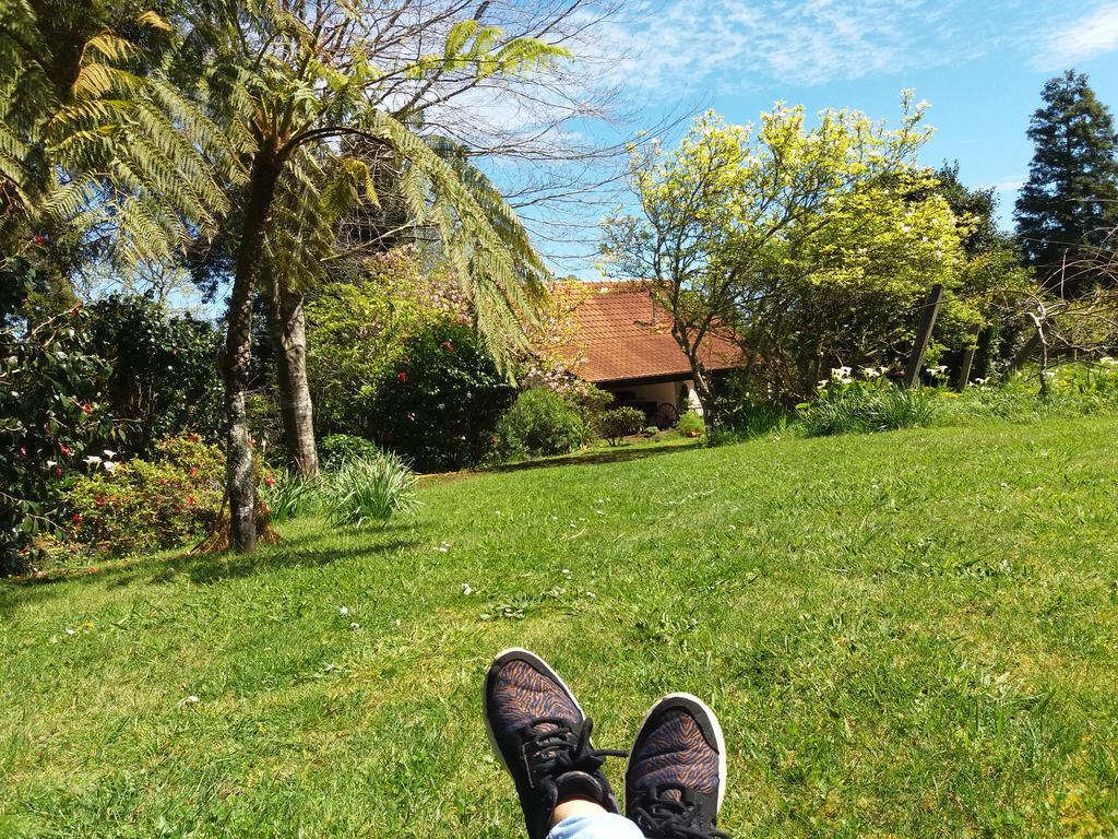 Bio Quinta Do Pantano, Agro Turismo Villa Santo Antonio da Serra Екстериор снимка