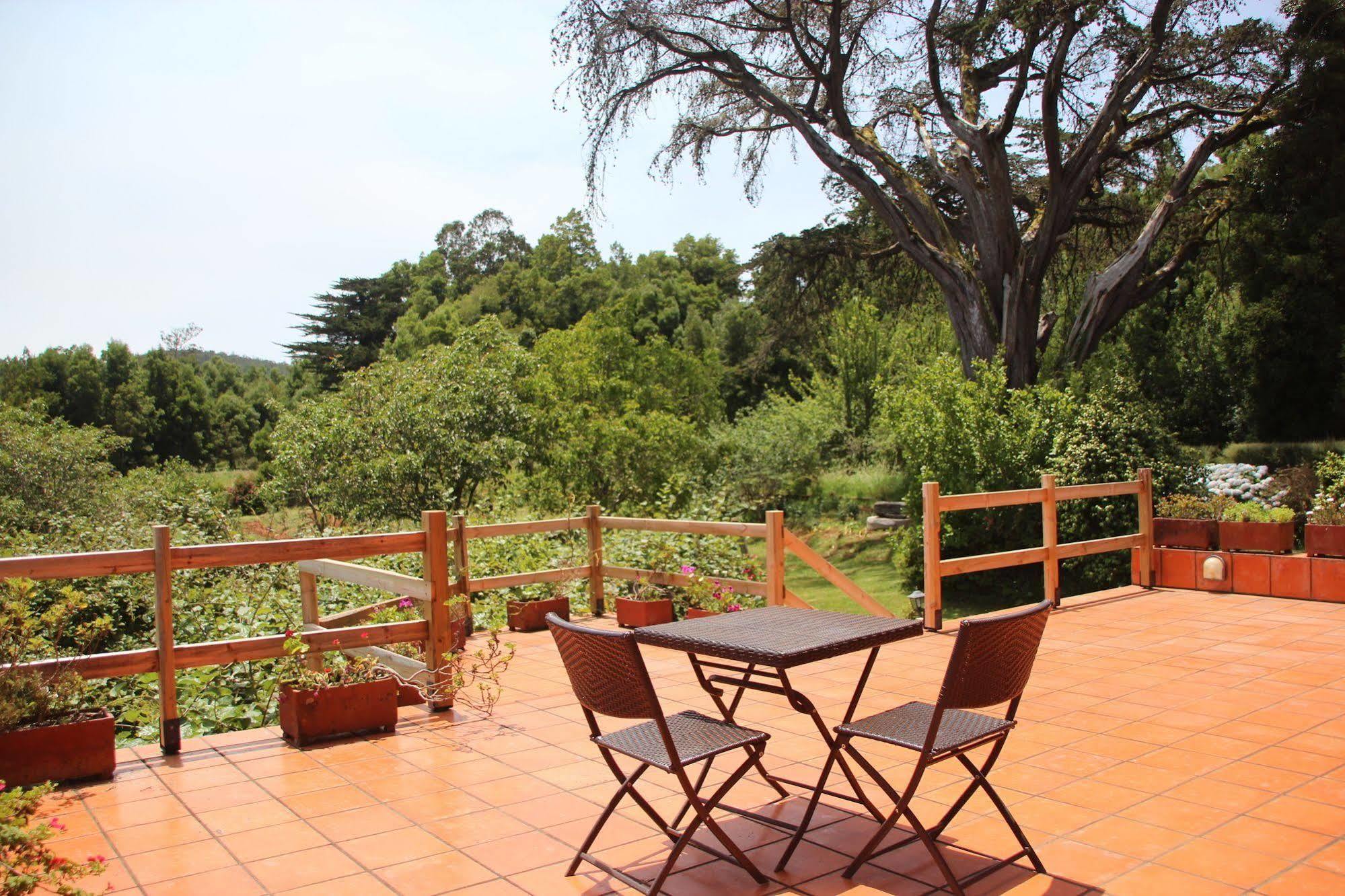 Bio Quinta Do Pantano, Agro Turismo Villa Santo Antonio da Serra Екстериор снимка
