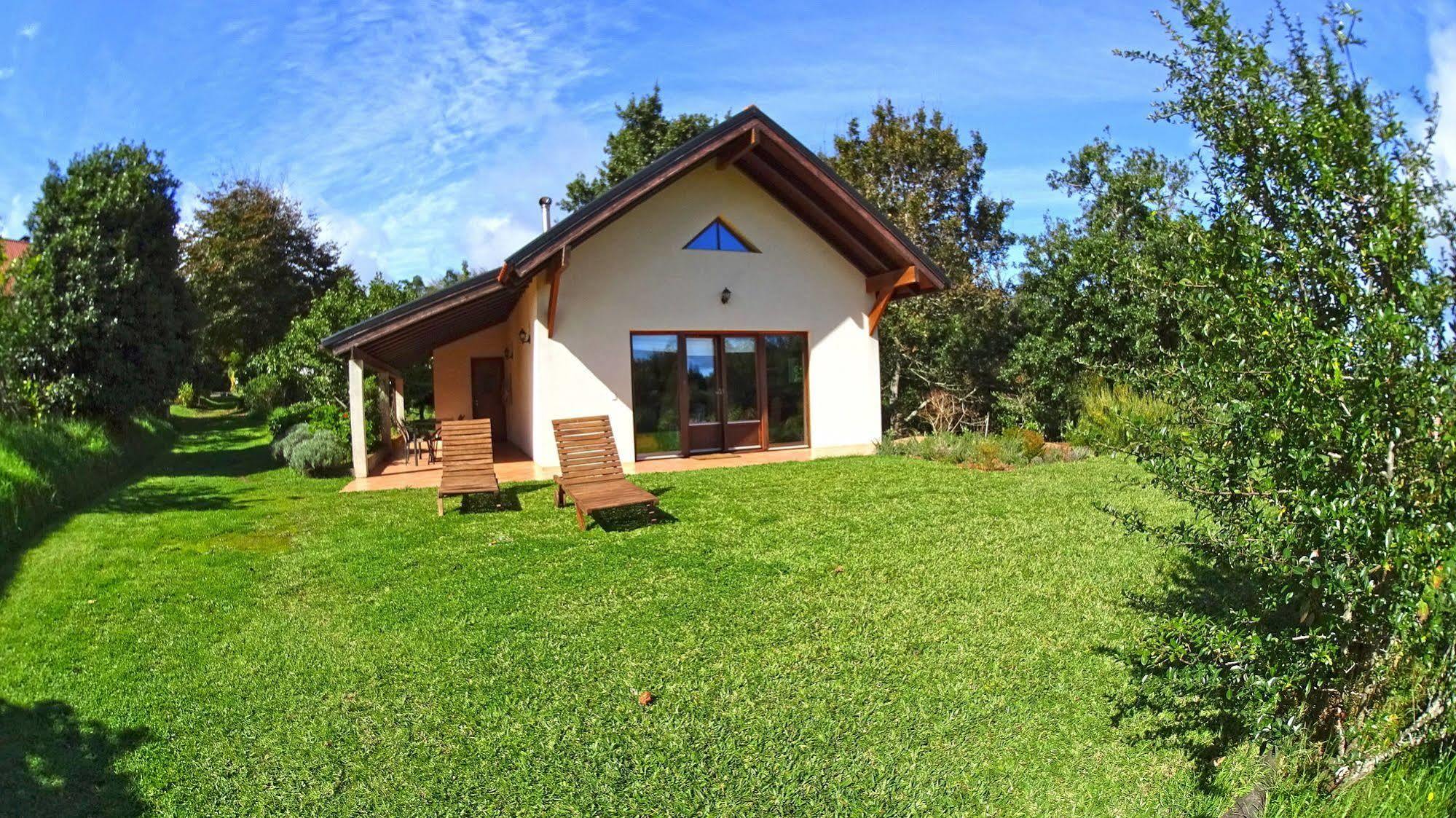 Bio Quinta Do Pantano, Agro Turismo Villa Santo Antonio da Serra Екстериор снимка